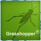 grasshopper